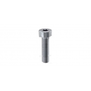 7190-221A Delphi Pompa Vidası